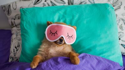 Uyanır uyanmaz yatağınızı toplamayın!