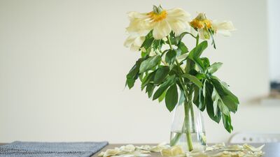 Evlilik seksi öldürür mü?