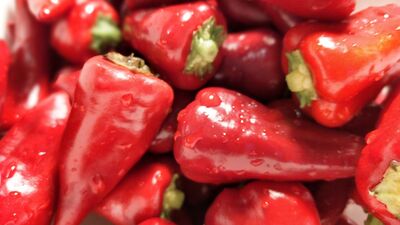 Maraş Biberi kırmızısı göz alıyor