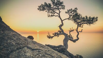 Hayata kafa tutmak kabullenmekle başlar