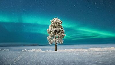 2020'nin nefes kesen astronomi fotoğrafları