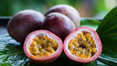 Tutkunun meyvesi: Çarkıfelek