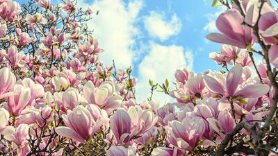 Ailenizle birlikteyken mutlu olmak istiyorsanız...