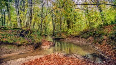 Sonbaharda nerede kamp yapılır?
