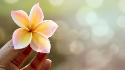 Karşılık beklemeyiniz, yapınız...