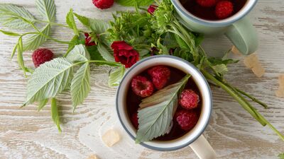 Kadın sağlığına iyi geliyor: Ahududu yaprağı çayı