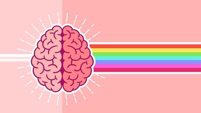 Beynin kıvrımlarına seyahat