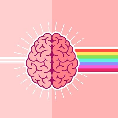 Beynin kıvrımlarına seyahat