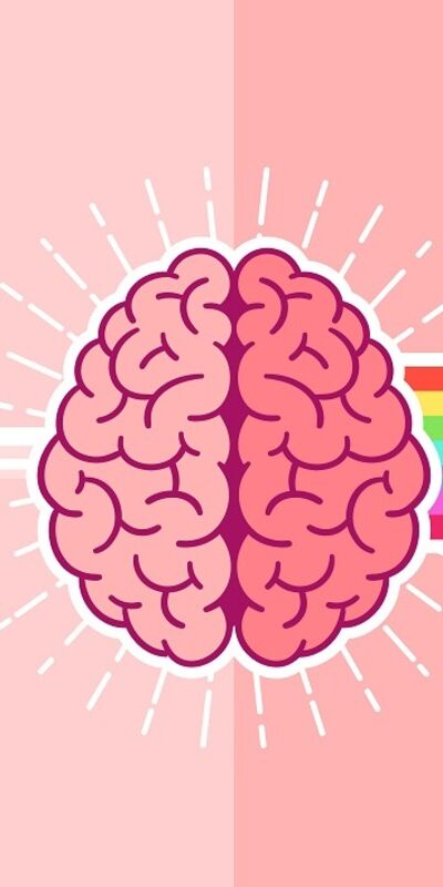 Beynin kıvrımlarına seyahat