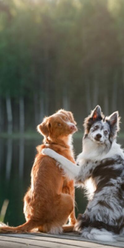 Arkadaşlığınızın bittiğini gösteren 4 işaret