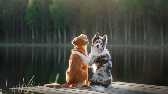 Arkadaşlığınızın bittiğini gösteren 4 işaret