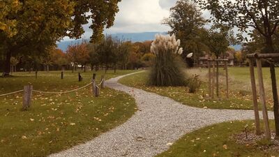 Gizli Haller bölüm 7: Kimin yolu