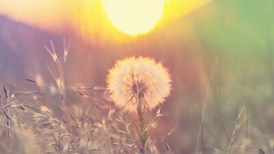 Yolculuğun kendisidir hayat