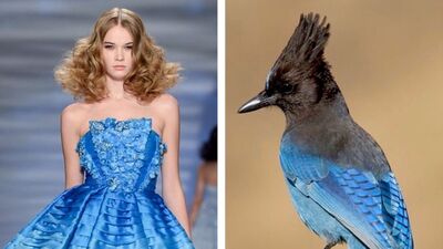 Doğadan ilhamla tasarlanan kıyafetler