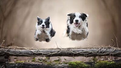 2020 Uluslararası Fotoğrafçılık Ödülleri sahiplerini buldu