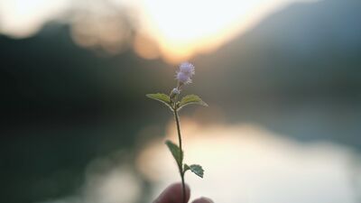 Her şeyi kendimize biz çekiyoruz!