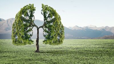 Farkındalık yaratalım: Akciğer kanseri