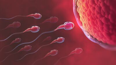 Sperm kalitesi düşük riskini etkiler mi?
