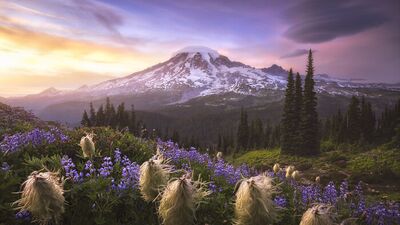 Onlar ödüllü: Büyüleyici güzellikte 30 manzara fotoğrafı