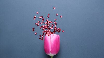 İskoçya'da devlet hijyenik pedleri ücretsiz dağıtmaya başladı