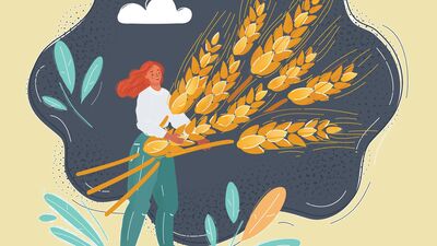 Doğal ürünler satan Instagram hesapları