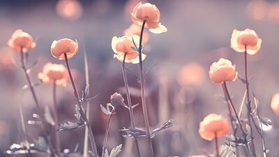 &quot;İnsan en çok kendine yasakladığı duygularla savaşır&quot;