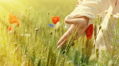 İlahi adalet şaşmaz!