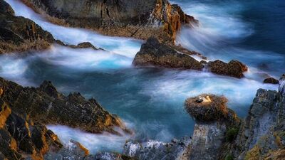 Siena Uluslararası Fotoğrafçılık Yarışması kazananları