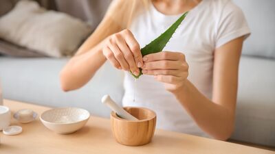 Ölümsüzlük bitkisi olarak biliniyor