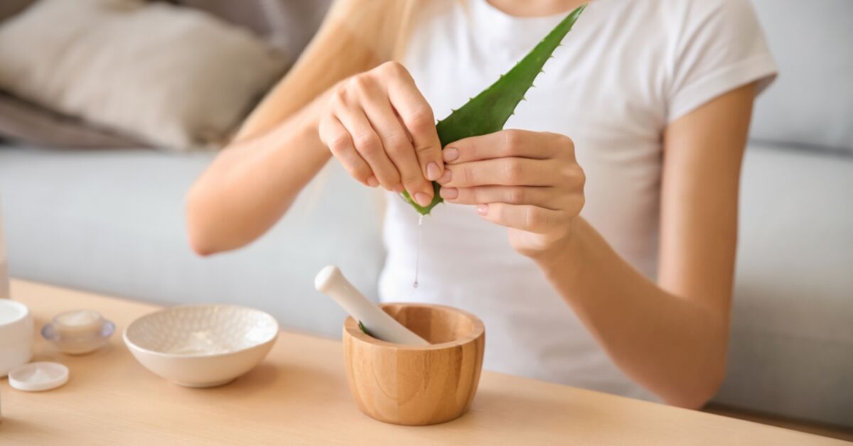 aloe vera medicine Aloe Vera Capsules main image 1