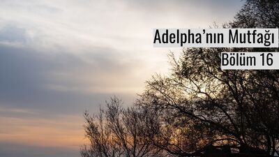 Faliro&#039;da ilk günler