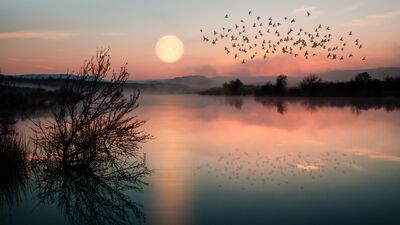 30 Aralık Yengeç Dolunay'ı bizi nasıl etkileyecek?