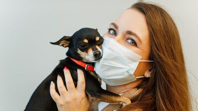 Hayvanlar Koronavirüs bulaştırır mı?