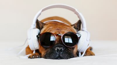 Nörobilim kanıtladı: Ne duymak istiyorsak onu duyuyoruz