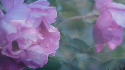 Gizli haller bölüm 9: Dağına göre kar