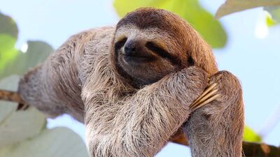 Durur muyum? Duramadım!