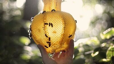 Arıların dünyasına heykellerle yolculuk