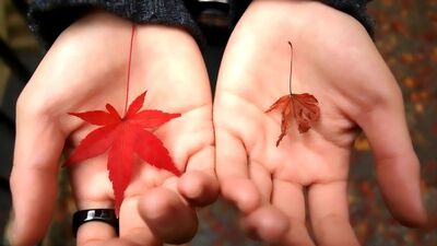 Siz hiç ölümü..?