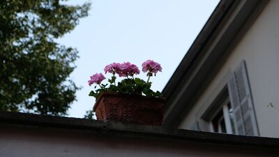 Gizli haller bölüm 11: Şans kapıyı çalınca