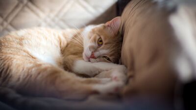 Depresyonda olan birine söylenmemesi gereken şeyler var!