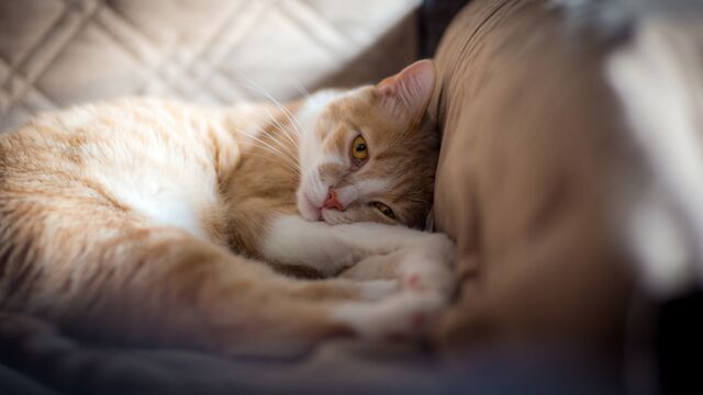 Depresyonda olan birine söylenmemesi gereken şeyler var!