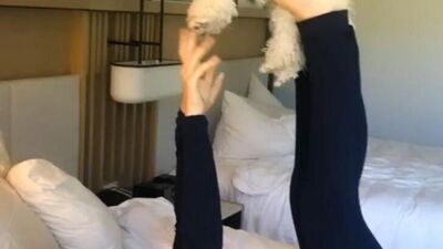 Yoga yapan hayvanlar gününüzü neşelendirecek