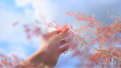 "Mutluluk aramakla bulunacak bir şey değildir"