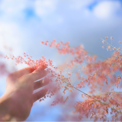 "Mutluluk aramakla bulunacak bir şey değildir"