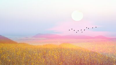 Hangi baskıdan özgürleşmeye ihtiyacınız var?