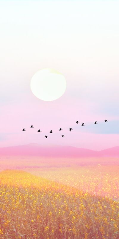 Hangi baskıdan özgürleşmeye ihtiyacınız var?