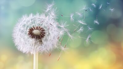 HTHayat Kadın Festivali: Nefes farkındalığı