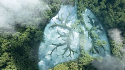 Aldığınız nefesi ne kadar tanıyorsunuz?