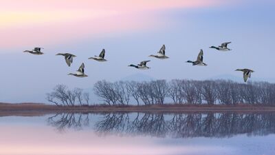 Biyolojik ritminizi ne kadar tanıyorsunuz?