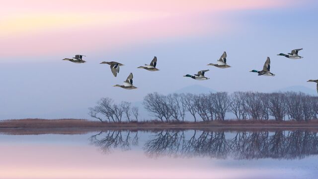 Biyolojik ritminizi ne kadar tanıyorsunuz?